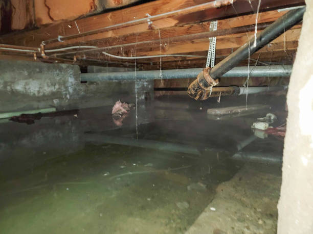 Best Flood damage cleanup  in Church Point, LA