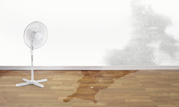 Best Water damage mitigation services  in Church Point, LA