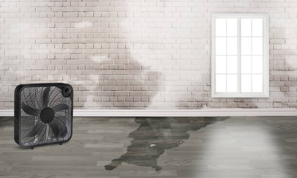 Best Flood restoration services  in Church Point, LA