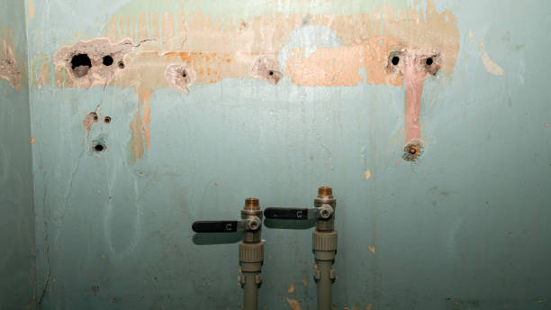 Best Water damage restoration near me  in Church Point, LA