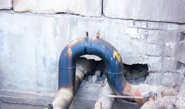 Best Professional water damage repair  in Church Point, LA